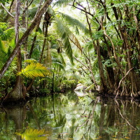 Dominica