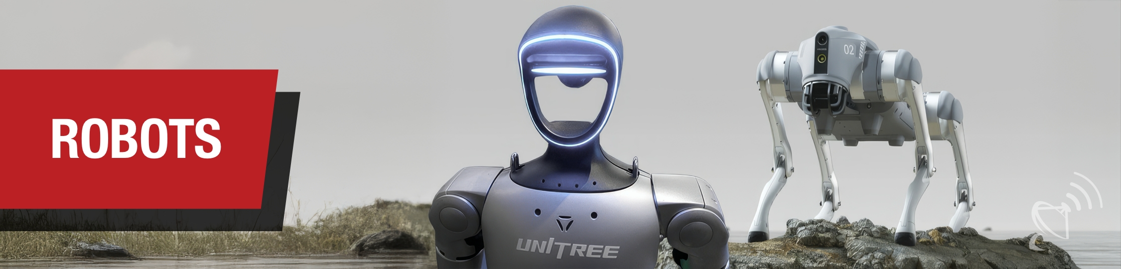 Robots