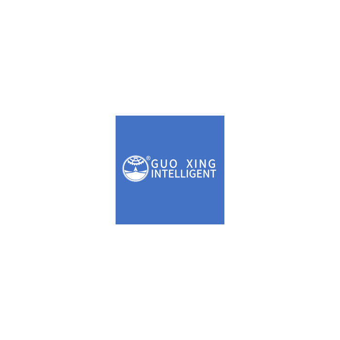 Guo Xing Black Picture Transmission Controlling Box  (BPTCB)